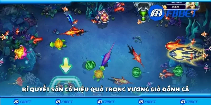 Bí quyết săn cá hiệu quả trong vương giả đánh cá