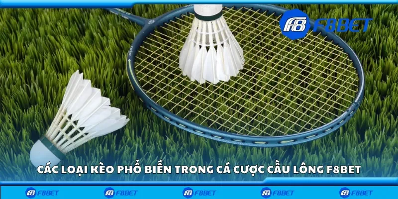 Các loại kèo trong cá cược cầu lông F8bet