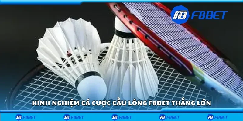 Kinh nghiệm cá cược cầu lông F8bet thắng lớn