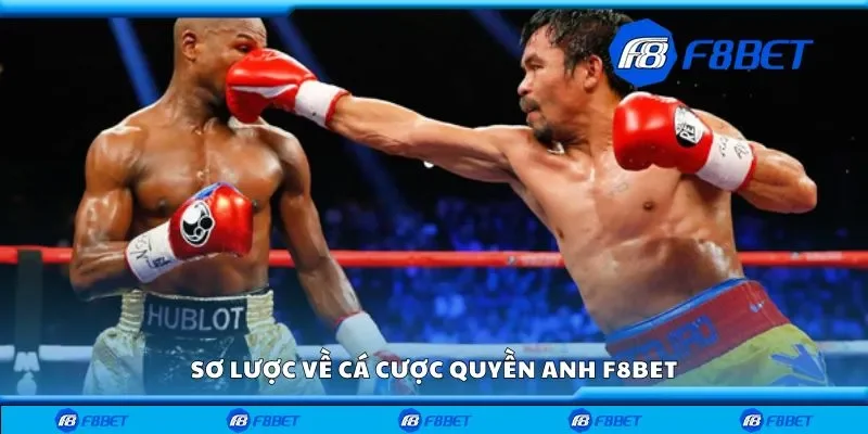 Sơ lược về cá cược quyền anh F8bet