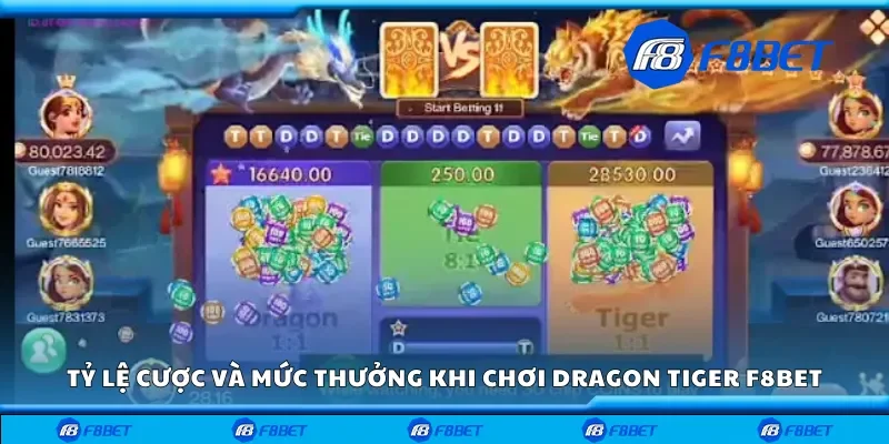 Tỷ lệ cược và mức thưởng khi chơi dragon tiger F8bet