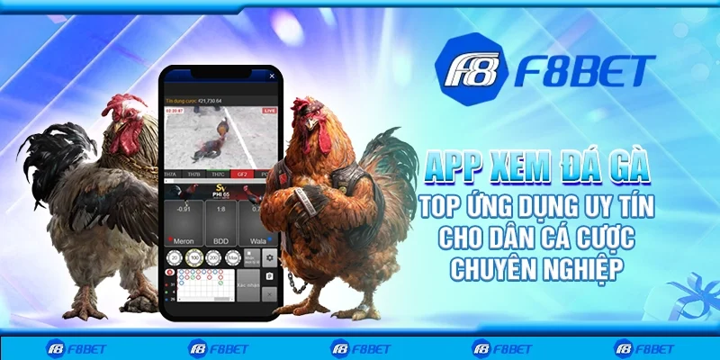 App xem đá gà - Top ứng dụng uy tín cho dân cá cược chuyên nghiệp