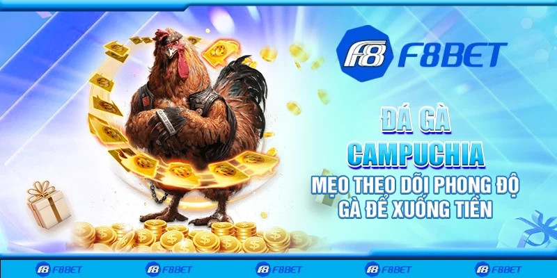 Đá gà Campuchia - Mẹo theo dõi phong độ gà để xuống tiền