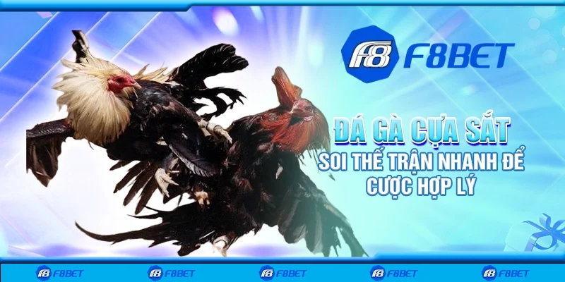 Đá gà cựa sắt - Soi thế trận nhanh để cược hợp lý