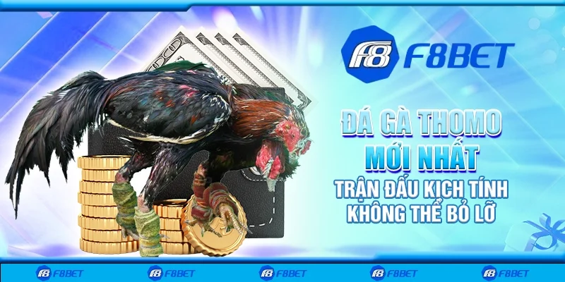 Đá gà thomo mới nhất - Trận đấu kịch tính không thể bỏ lỡ