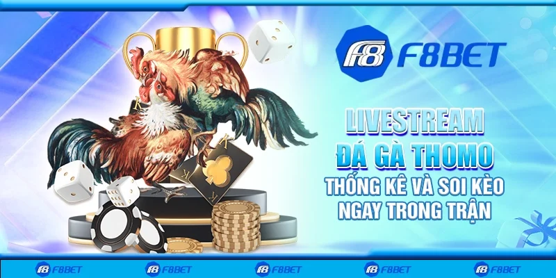 Livestream đá gà thomo - Thống kê và soi kèo ngay trong trận