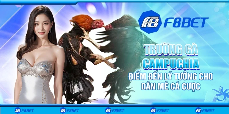 Trường gà Campuchia - Điểm đến lý tưởng cho dân mê cá cược