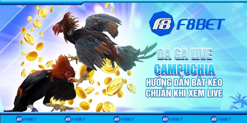 Đá gà live Campuchia - Hướng dẫn bắt kèo chuẩn khi xem live