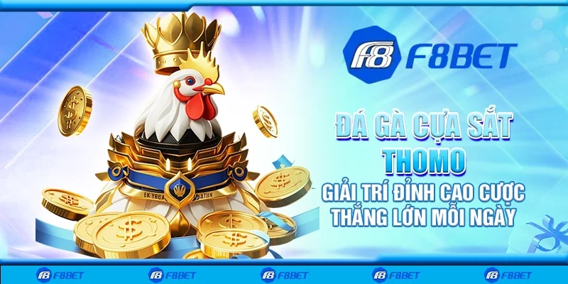 Đá gà cựa sắt Thomo – Giải trí đỉnh cao cược thắng lớn mỗi ngày
