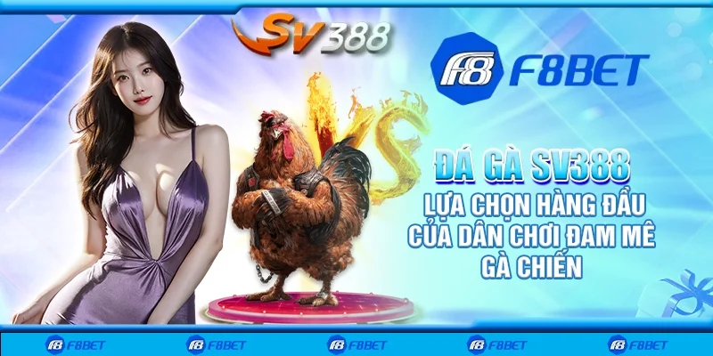 Đá gà SV388 – Lựa chọn hàng đầu của dân chơi đam mê gà chiến