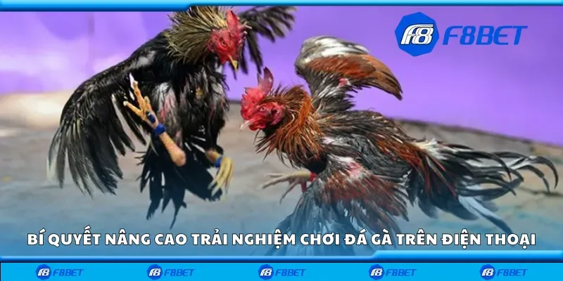 Bí quyết nâng cao trải nghiệm chơi đá gà trên điện thoại