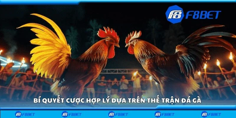 Bí quyết cược hợp lý dựa trên thế trận đá gà 