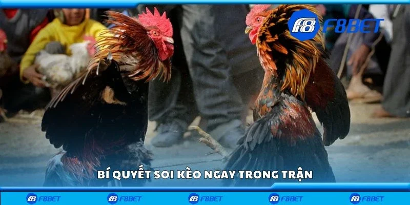 Bí quyết soi kèo ngay trong trận