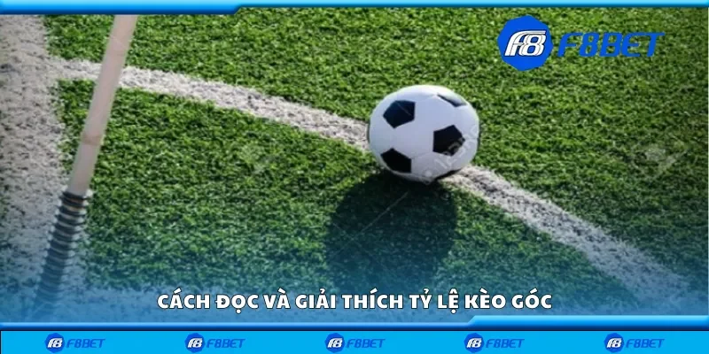 Cách đọc và giải thích tỷ lệ kèo góc