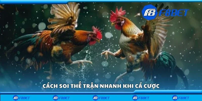 Cách soi thế trận nhanh khi cá cược
