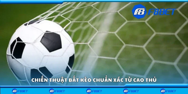Chiến thuật bắt kèo dưới từ cao thủ