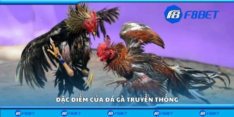 Đặc điểm của đá gà truyền thống