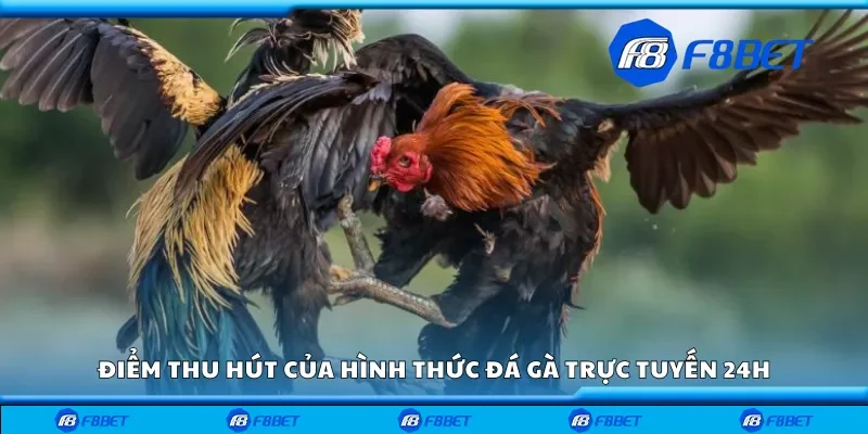 Điểm thu hút của hình thức đá gà trực tuyến 24h