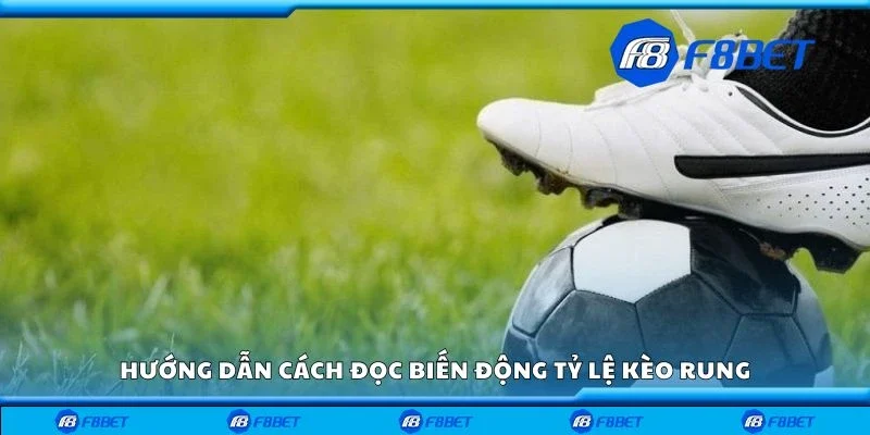 Hướng dẫn cách đọc biến động tỷ lệ kèo rung