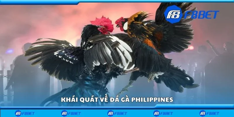 Khái quát về đá gà Philippines