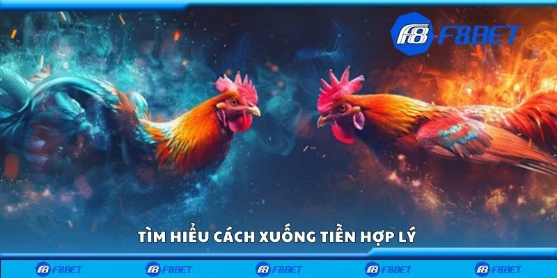 Tìm hiểu cách xuống tiền hợp lý 