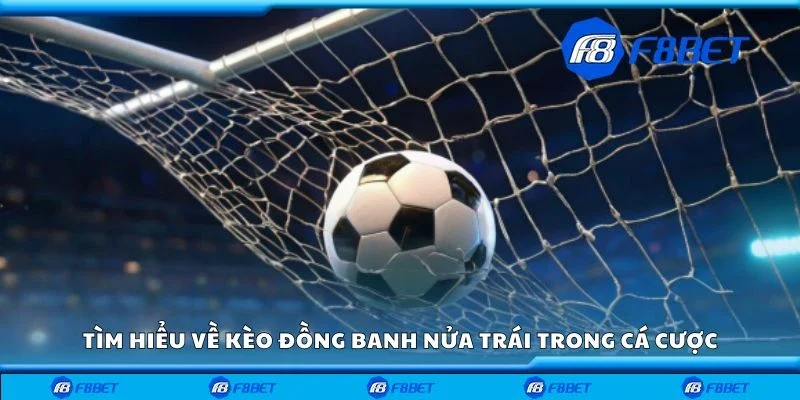 Tìm hiểu về kèo đồng banh nửa trái trong cá cược