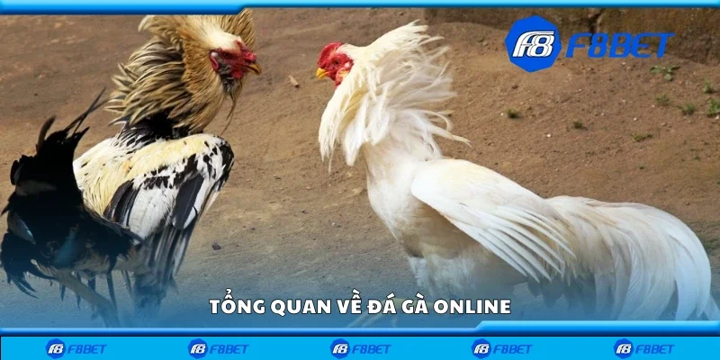 Tổng quan về đá gà online